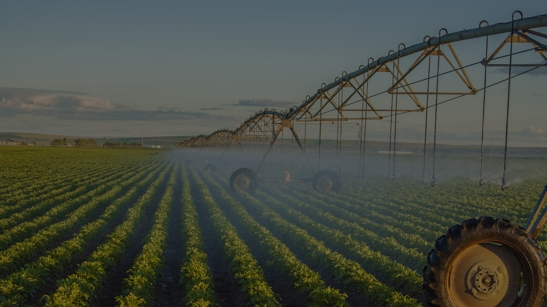 Irrigation